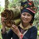 Ton Hoang Thi, 30 Jahre, Kleinbäuerin, seit 2018 im Projekt,  bei der Zimternte, die Rinde des Zimtbaum wird geschält und anschließend getrocknet, daraus entstehen die bekannten Zimtstangen.Projektpartner: Yen Bai Womens‘ Union - YBWU